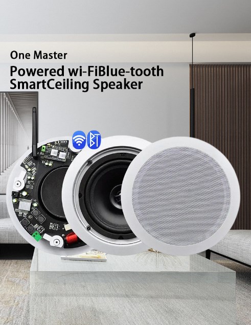 Single speaker speaker